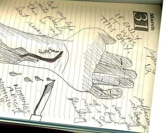 Carri Goodwin mantuvo un diario en el que describió su violación y sus pensamientos suicidas cuando sirvió en el Cuerpo de Marines de Estados Unidos. Su padre descubrió el diario poco después de su muerte por una sobredosis en 2009 de una combinación de alcohol y medicamentos recetados por los militares como resultado del abuso sexual que sufrió.