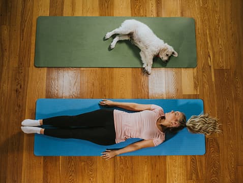 Perro hace yoga junto a su dueña y se convierte en un fenómeno viral