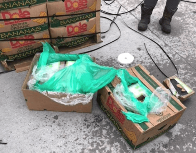 ¡Sorpresa!: encuentran $18 millones en cocaína en una donación de bananas para cárceles en Texas