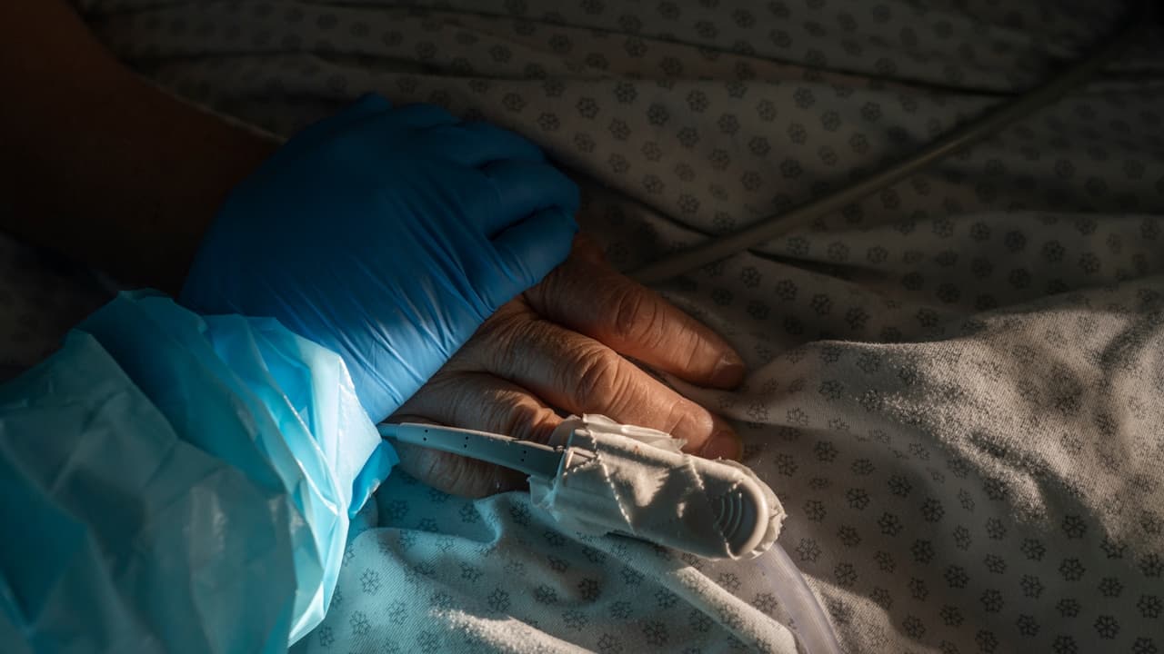 Estos son los síntomas de alerta relacionados al brote de E. coli vinculado a zanahorias orgánicas