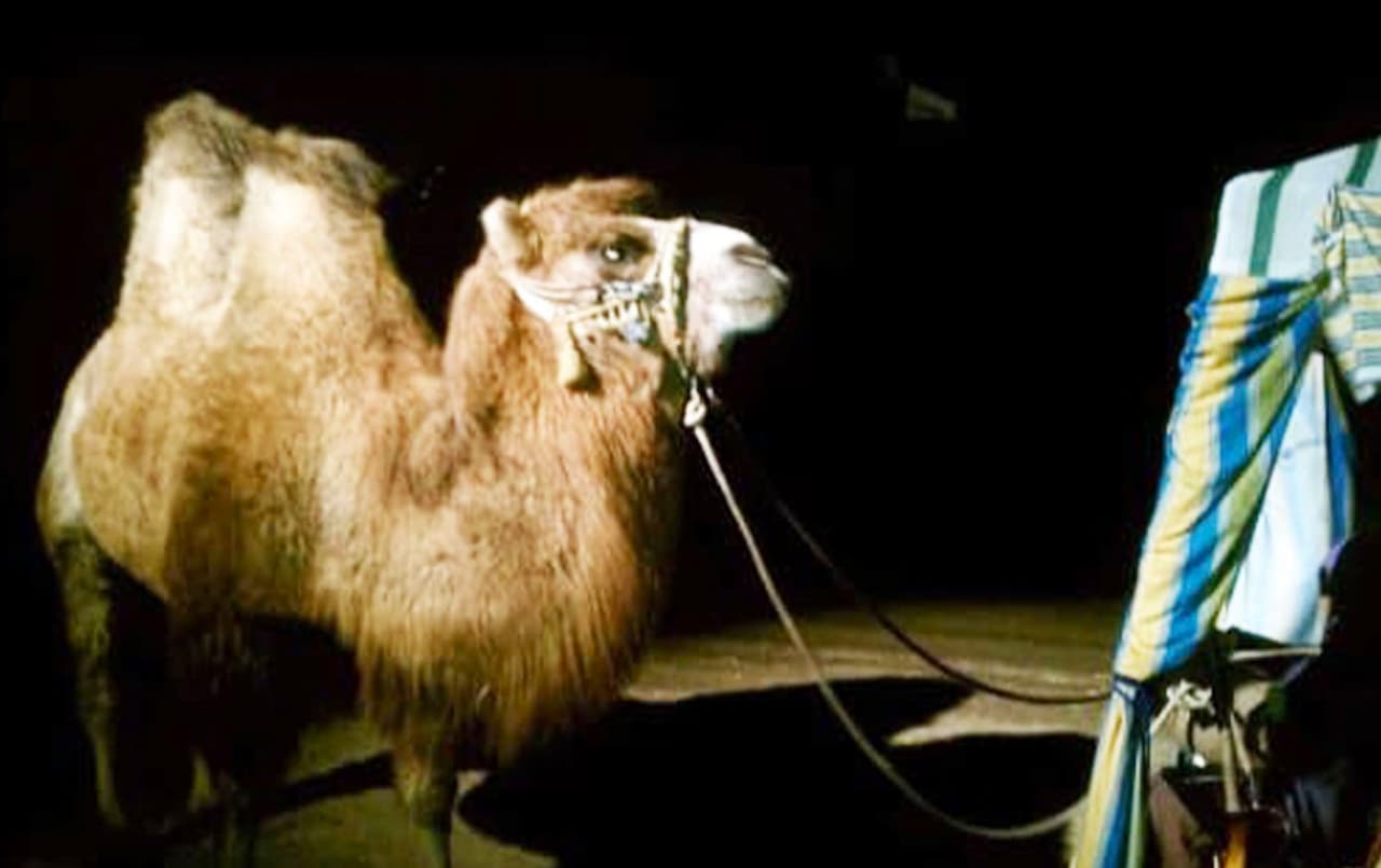 <b>The Living Nativity en Riverdale</b>
<br>
<b>Cuándo:</b> Entre el 22 y 25 de diciembre entre las 6 y 9 de la noche.
<br>
<b>Dónde:</b> Riverdale Assembly of God, en la esquina de Marks y Mt. Whitney, Riverdale, 93656.
<br>
<b>Costo:</b> Entrada gratis, se aceptan donaciones.
<br>