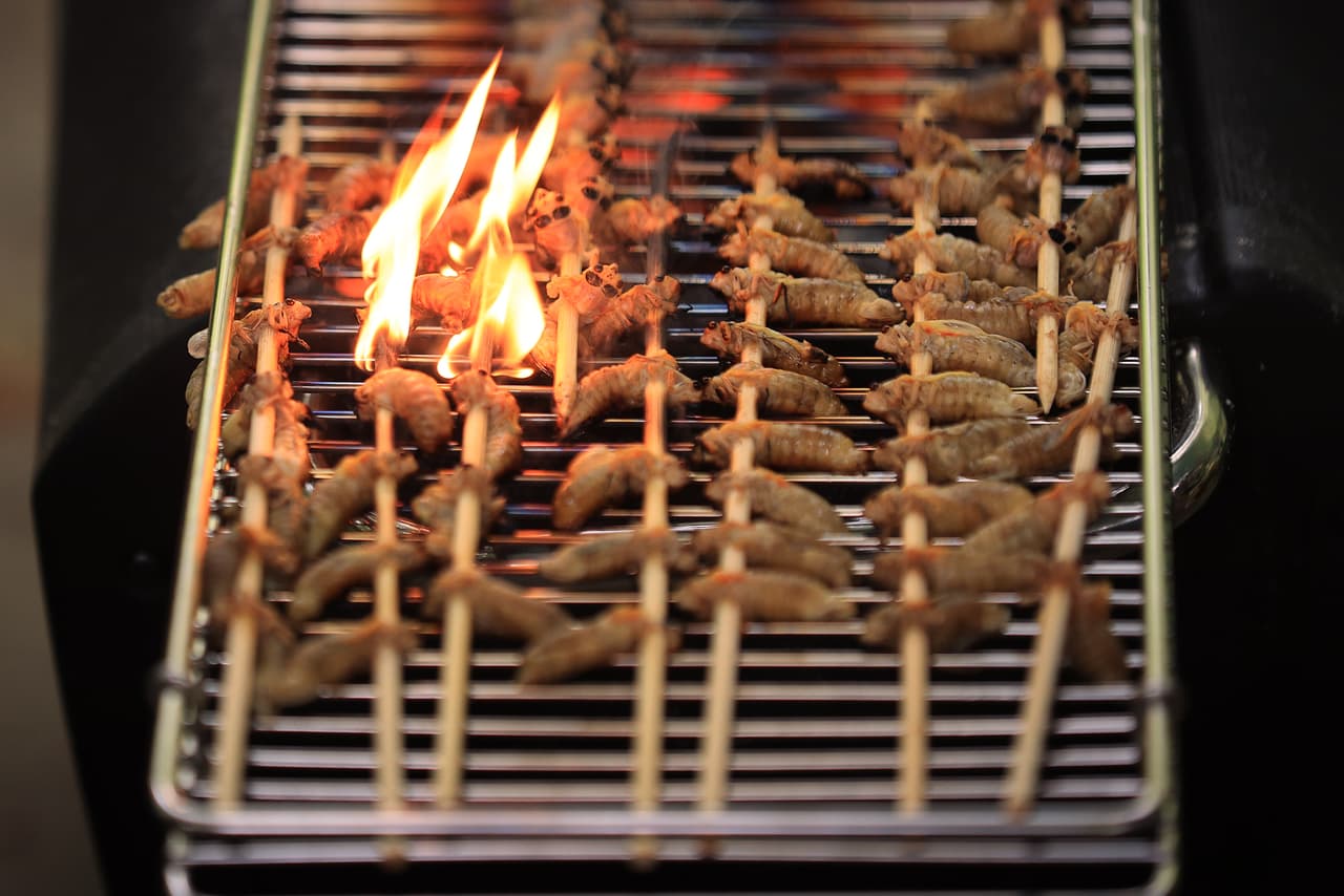 El informe, que se centró en la seguridad de comer insectos, señaló que "las personas que ya son alérgicas a los crustáceos son particularmente vulnerables a desarrollar reacciones alérgicas a insectos comestibles, debido a la reactividad cruzada de alérgenos".
<br>