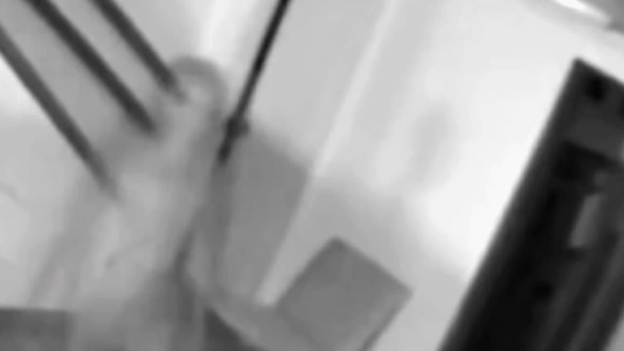 Misteriosa aparición en Ecuador: Pánico en una vivienda tras el hallazgo de una extraña figura