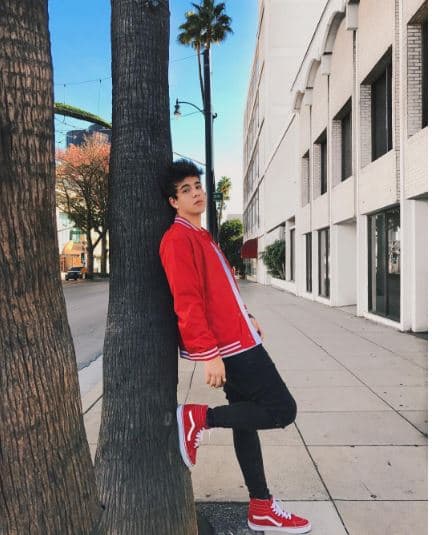 Le gustan la comida oriental e italiana.