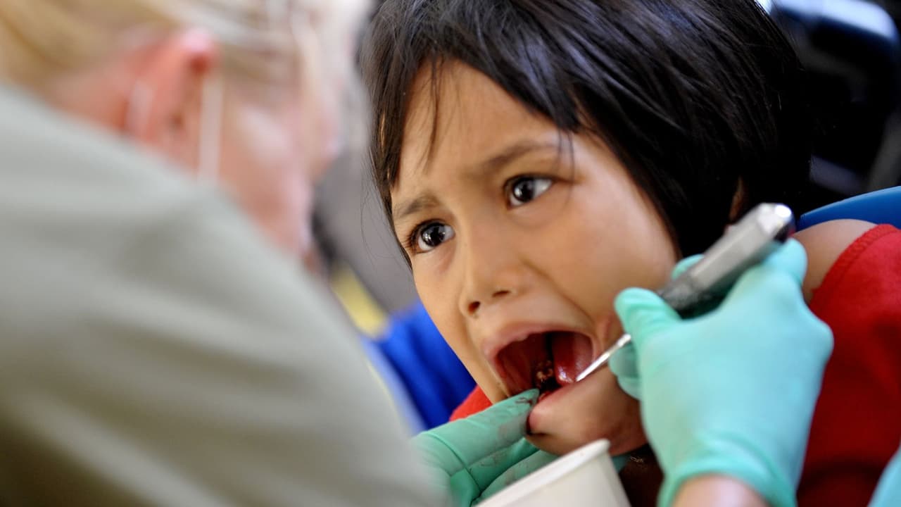 Servicios dentales gratis para niños sin seguro en el condado Wake  