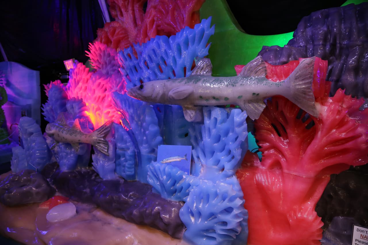 Los talladores de hielo recrearon cada detalle de los peces y las demás especies del mundo submarino inspirados en como se ven en la vida real.