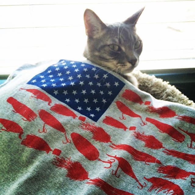 Así celebraron las mascotas el 4 de julio