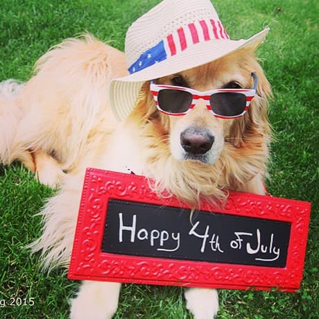 ¿Cómo evitar que tus mascotas sufran este 4 de Julio por los ruidos de los fuegos artificiales? Aquí te decimos