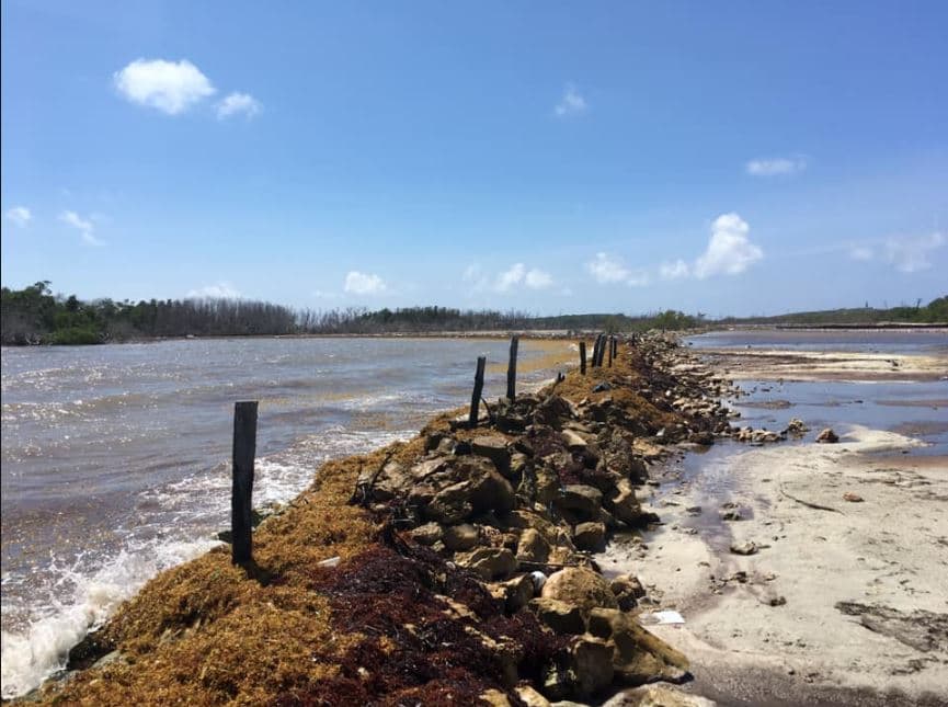 "Bahía Salinas en Cabo Rojo es solo un ejemplo del problema que enfrentan todas las costas de Puerto Rico", manifestó Ramírez.