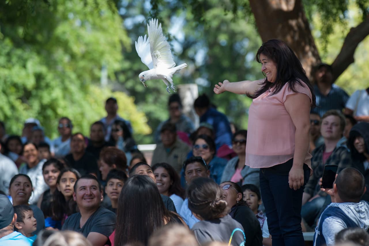 El show de aves fue uno de los favoritos durante el Festival de los Niños 2017