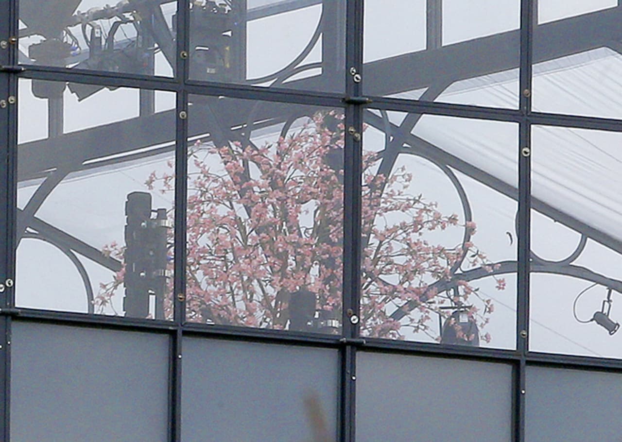 En la decoración del banquete, la novia prefirió el tono rosa, aquí las flores que se asoman dentro de la carpa de cristal.