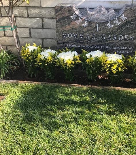 La mamá de la cantante de 
<b><a href="https://www.youtube.com/watch?v=2axZczJz-qg" target="_blank">'No llega el olvido'</a></b> explicó que ella y dos de sus hermanas son las encargadas de tener adornado el sepulcro de Jenni Rivera.
<br>