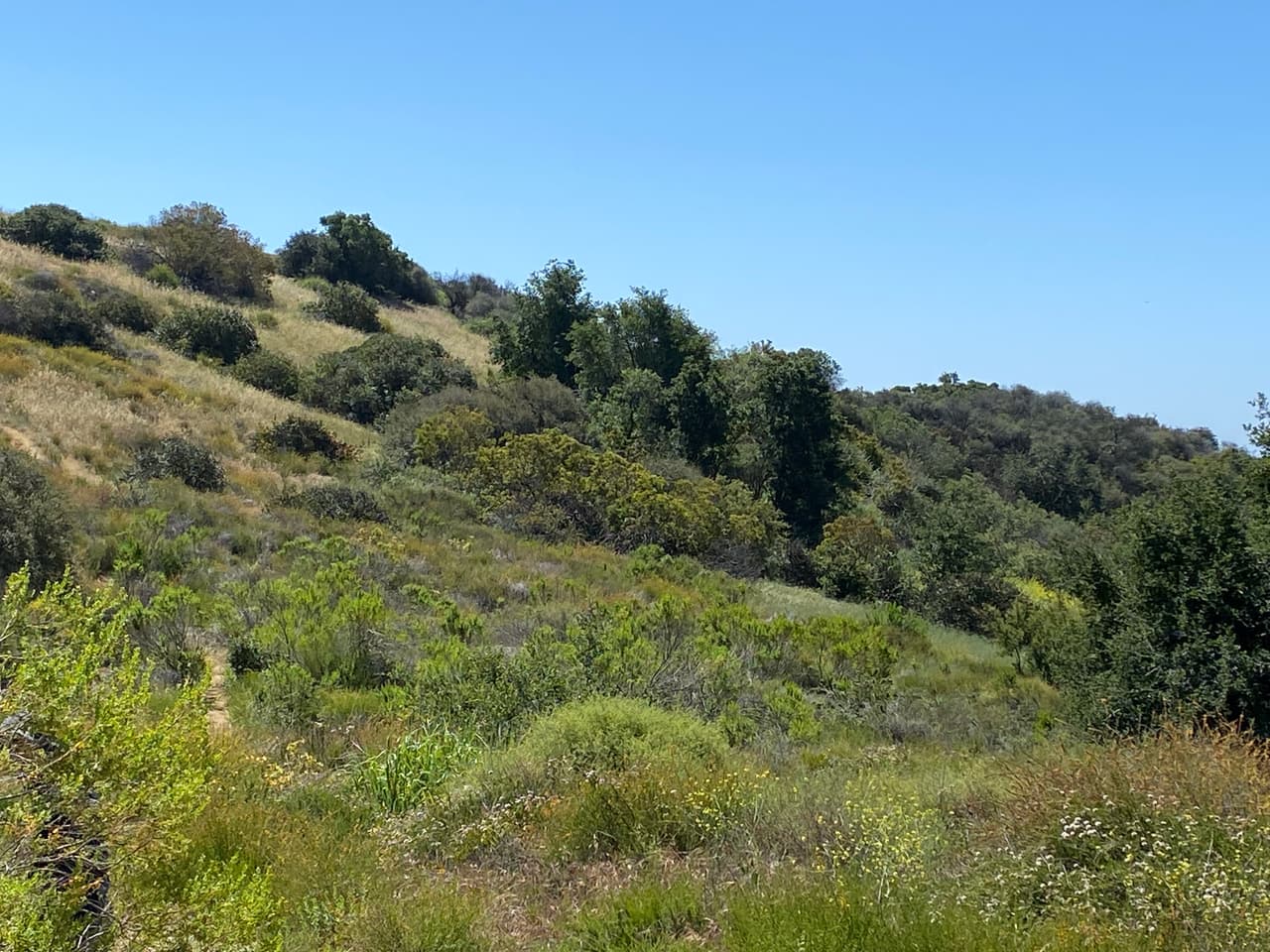 Desde un tierno conejo y hasta un puma están en su hábitat natural. En caso de que te los encuentres en tu camino, no trates de alimentarlos ni provocarlos.