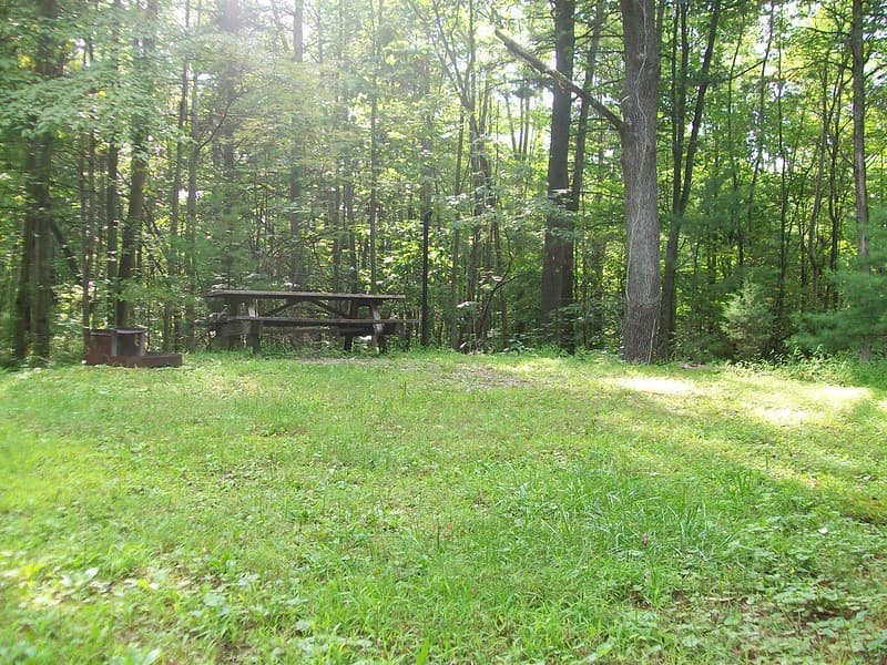 Con dos campamentos, paseos en bote, pesca, natación, el Nature Inn y diversos hábitats que son excelentes para observar la vida silvestre, Bald Eagle State Park es un gran destino en el corazón de Pennsylvania.
<br>
<br>