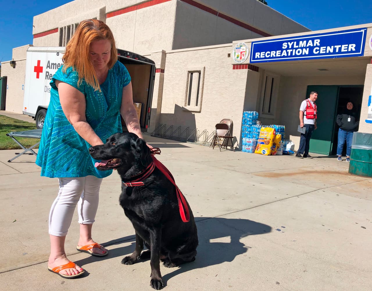 Las mascotas también son parte importante de la familia y por eso, ante la eventualidad de un sismo, también se debe contar con los alimentos y productos que ellos necesitan.