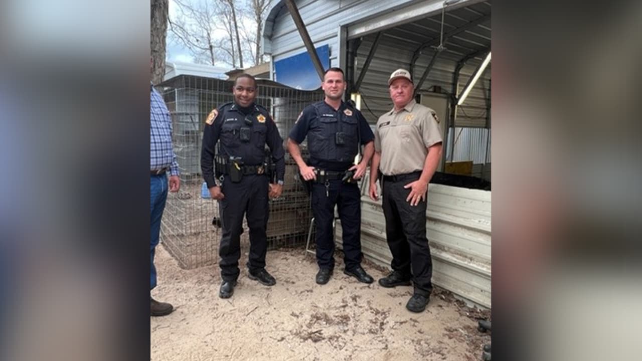 Las pistas se deben proporcional a través de 927PAWS.org o 832-927-PAWS.