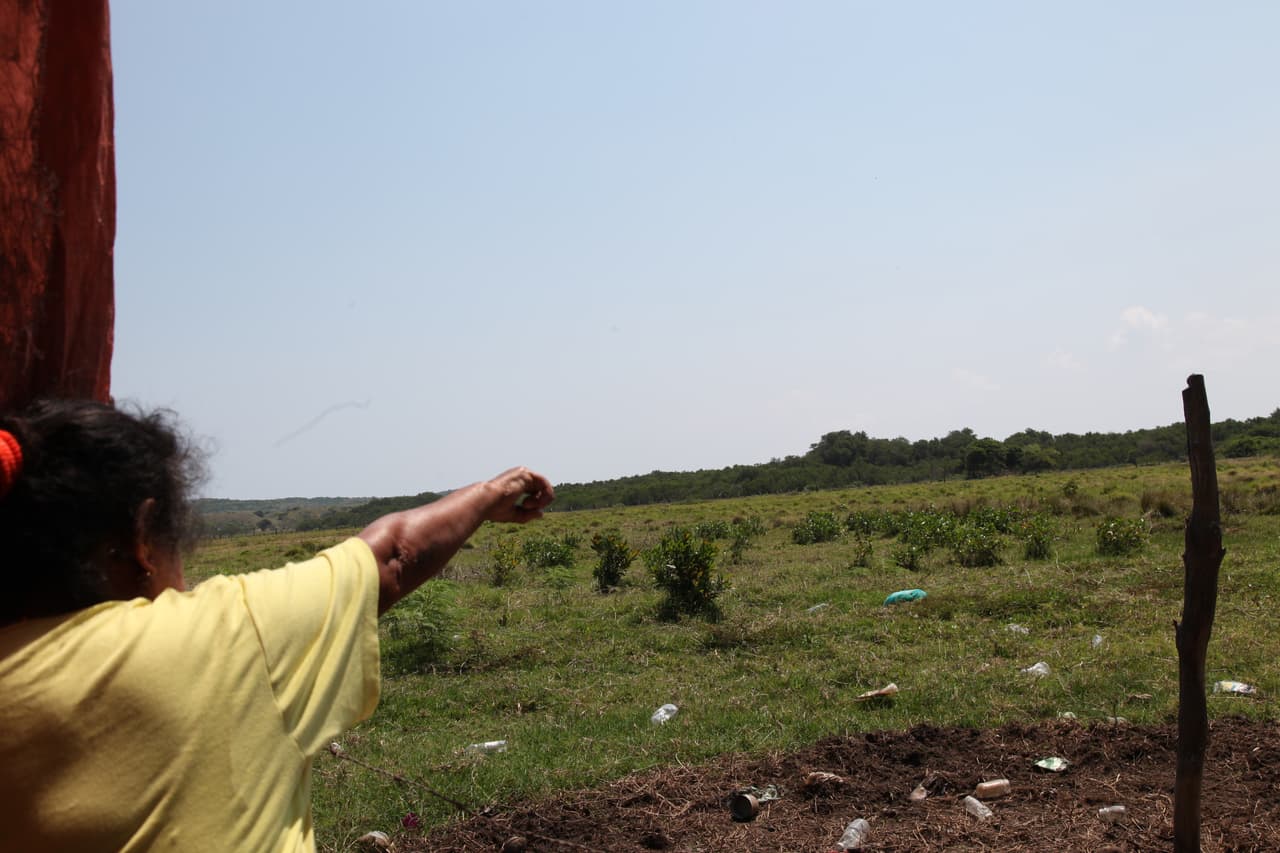 La fiscalía de Veracruz asegura que se identificaran a todos los cuerpos encontrados en el lugar.