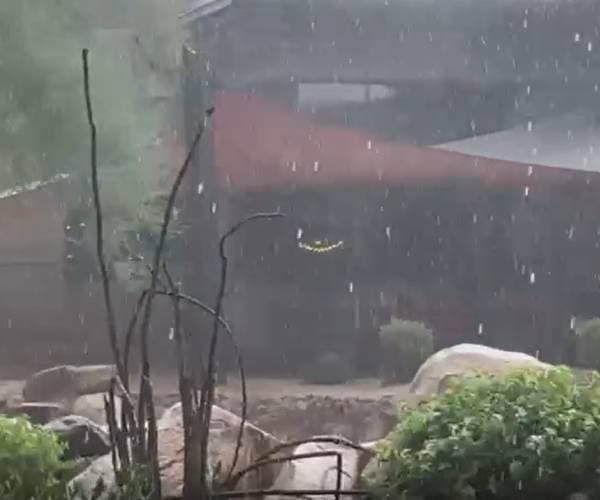 La lluvia llegó acompañada de relámpagos y ráfagas de viento.