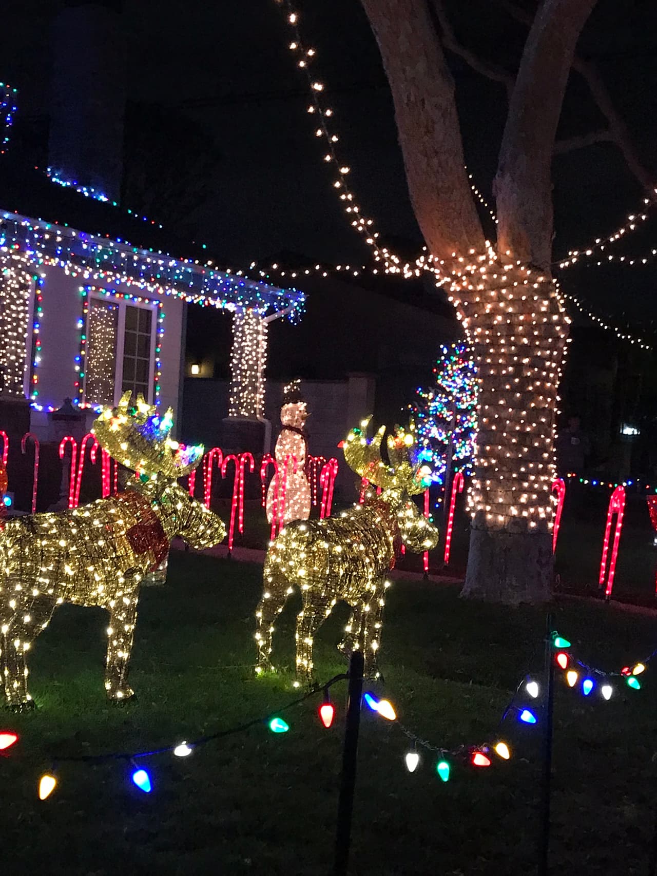 Entre los recorridos recomendados destacan las calles Reese and Robert roads, Doris Way and Sharynee Lane.