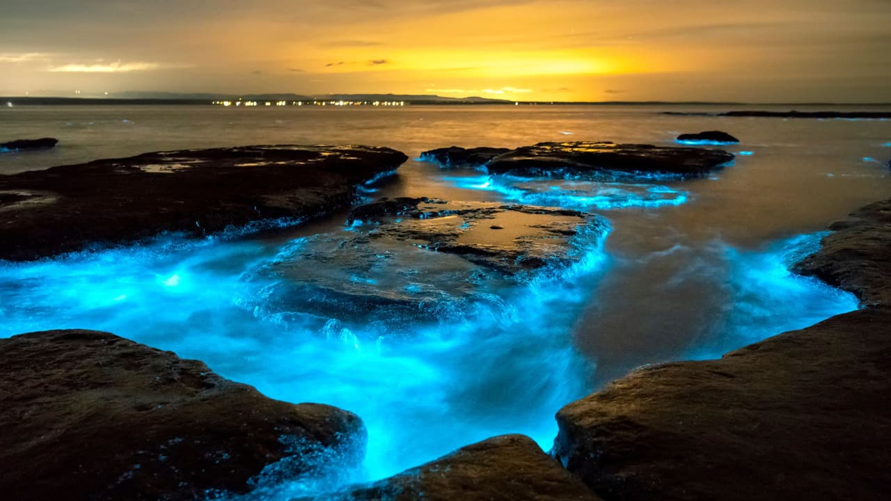 Olas bioluminiscentes iluminan la costa del sur de California