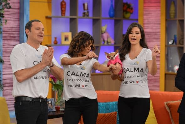 Mientras tanto, todo era fiesta en el estudio de Despierta América. JLo estaba lista para hacer su entrada triunfal.