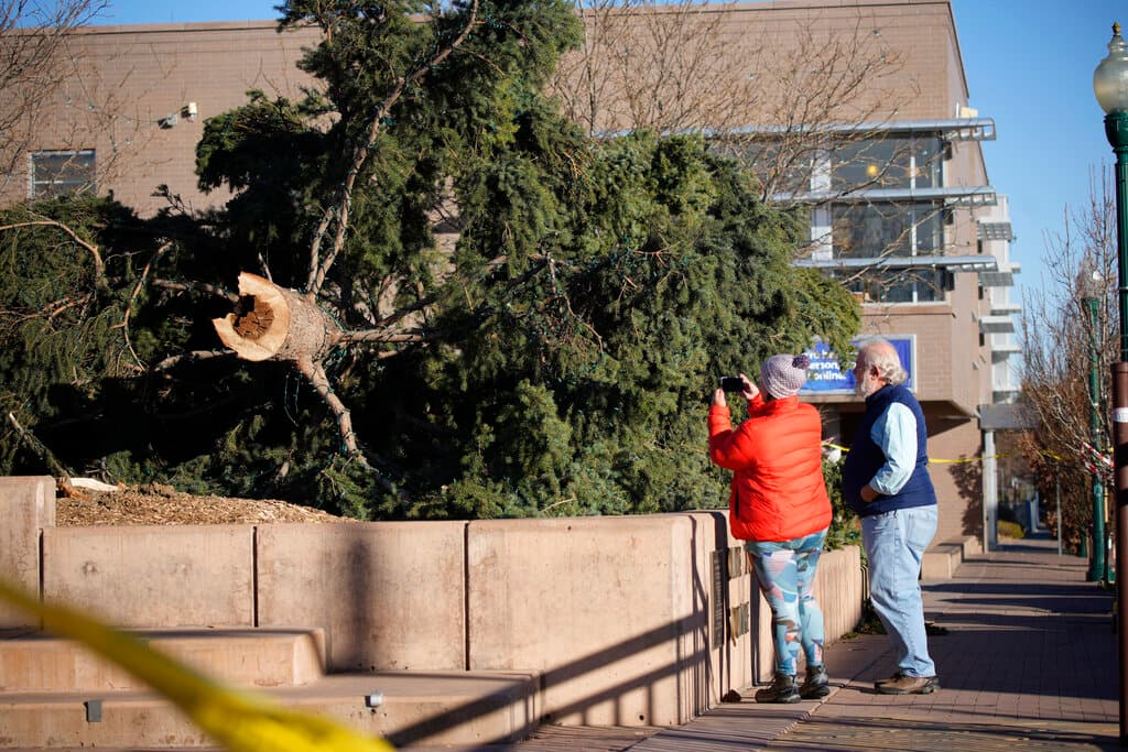 Los transeúntes miran un árbol después de que cayera cuando fuertes vientos azotaron el área metropolitana de Denver el miércoles 15 de diciembre de 2021 en Arvada, Colorado.