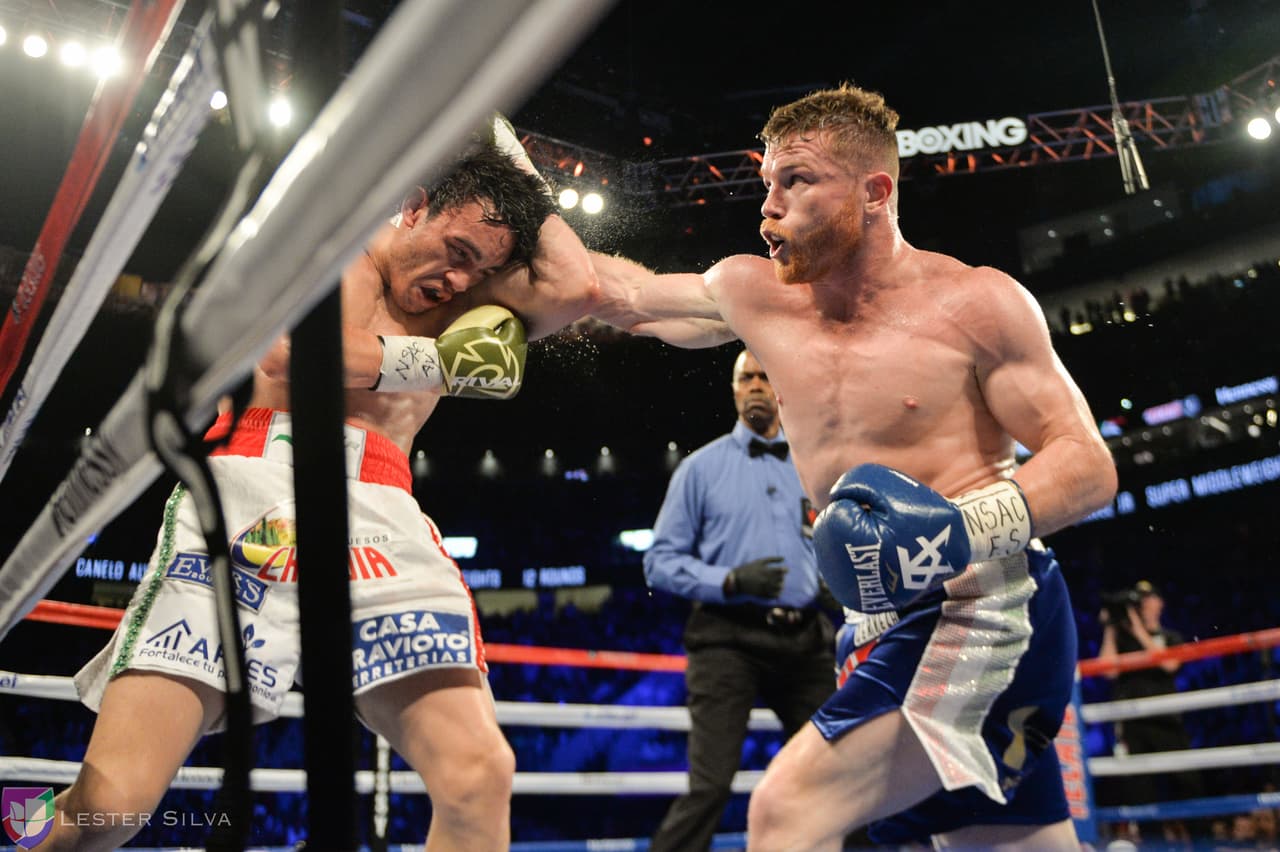 Te acercamos a los golpes que se dieron Saúl 'Canelo' Álvarez en contra de Julio César Chávez Jr., imágenes que te harán sentir en el ring.