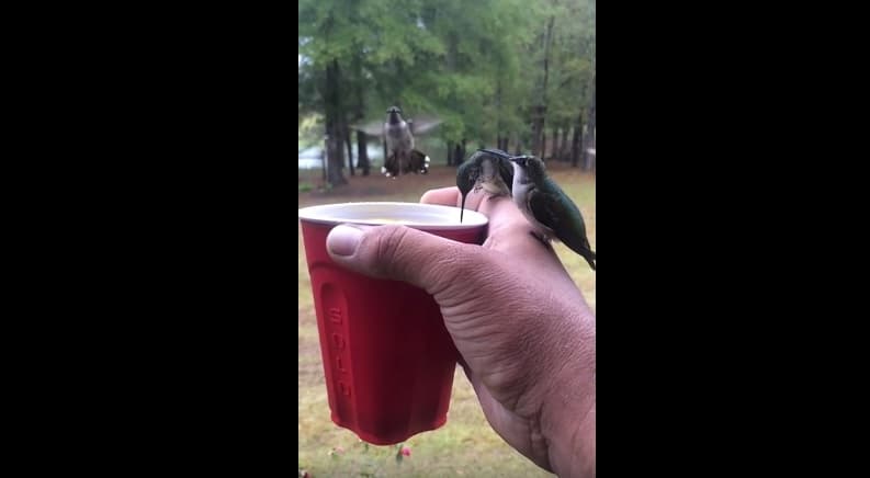 Videos de impacto - 8 de octubre