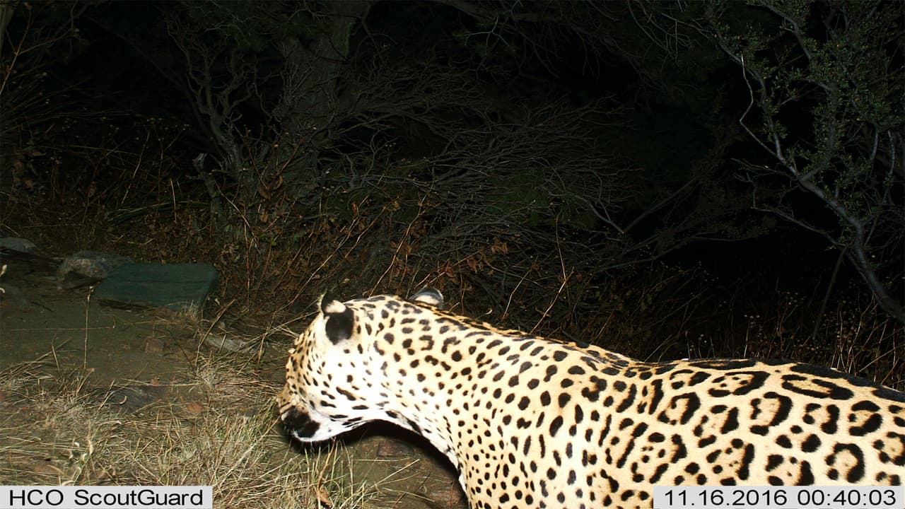Demandan al gobierno de Trump para que estudie los daños ecológicos que traería el muro en la frontera
