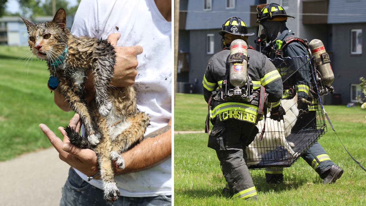 Ademá de las personas afectadas, los rescatistas pusieron a salvo a 4 mascotas, entre ellas un gato que fue trasladado a un hospital por heridas leves.