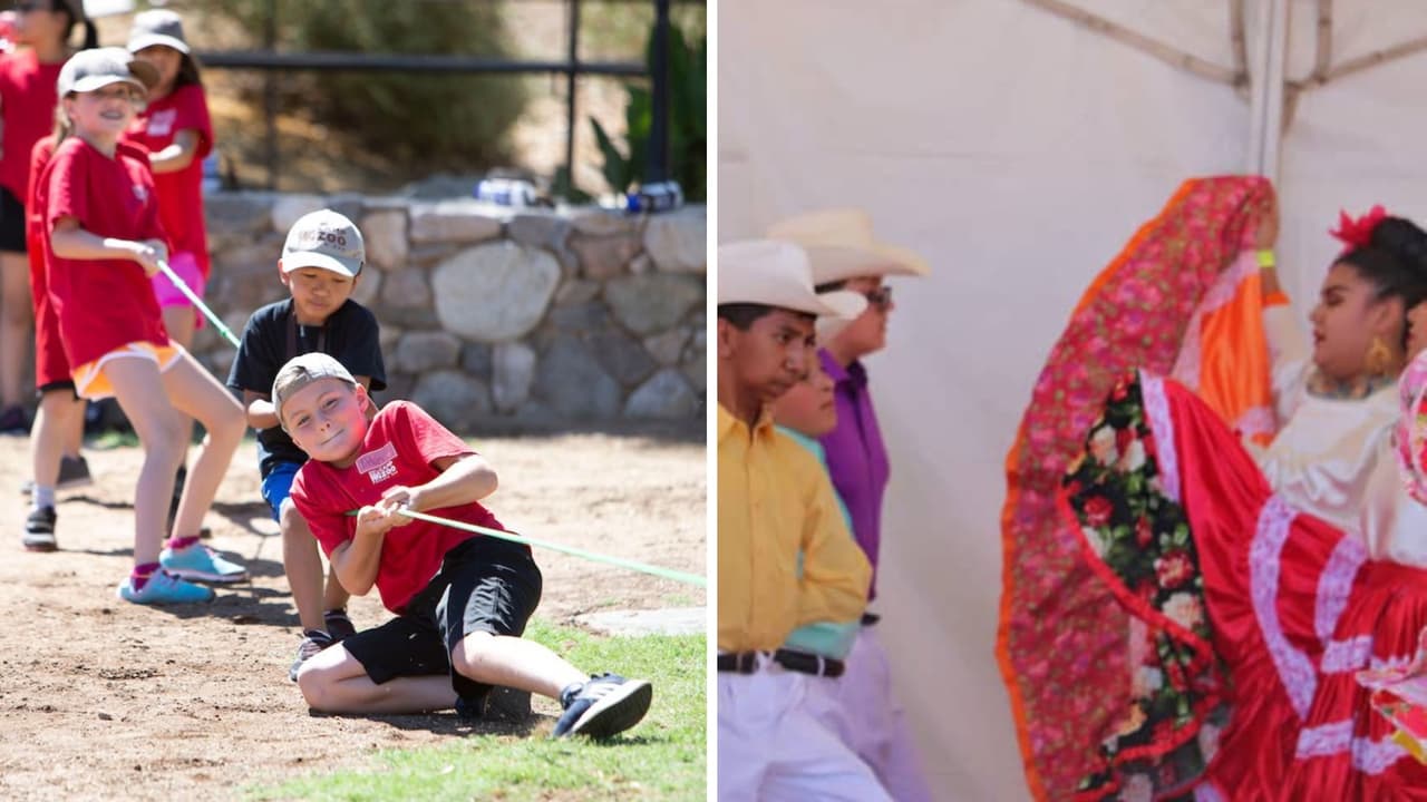 Regresa la celebración del “Día del Niño” al Zoológico de Phoenix 