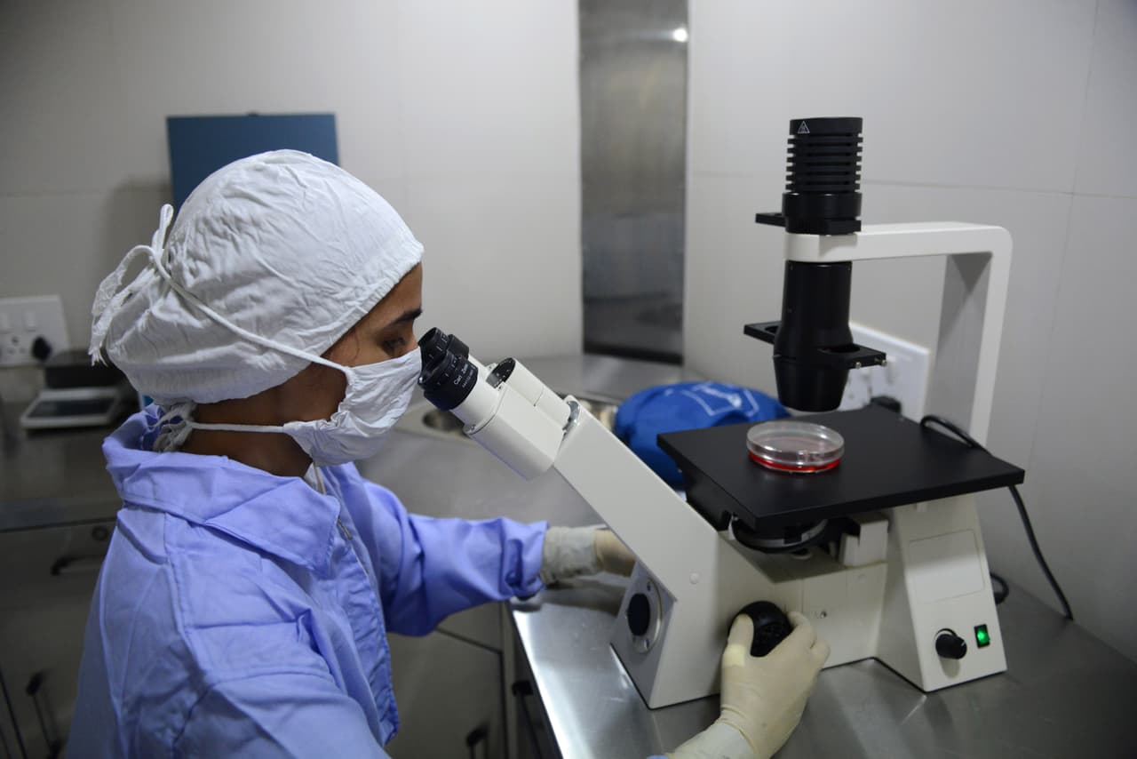 Casi resuelto el misterio del corazón sin dueño hallado en Harlem
