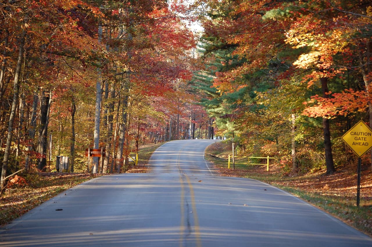 <a href="https://www.univision.com/local/atlanta-wuvg/mejores-fechas-para-ver-el-cambio-de-color-de-las-hojas-en-georgia-en-otono-2022-fotos"><b>RELACIONADO: Estas son las mejores fechas para ver el cambio de color de las hojas en Georgia en otoño 2022</b></a>
<b> </b>