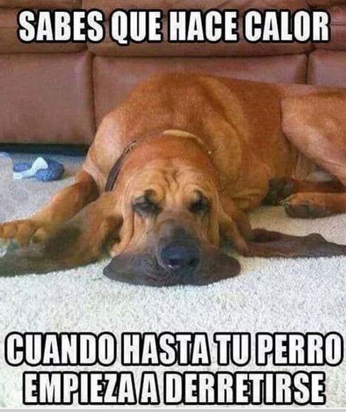 Ante la ola de calor que afecta a la Isla, los usuarios de redes sociales se han puesto creativos creando memes que según ellos, simulan la situación que viven.