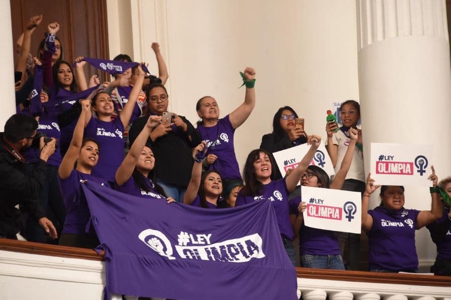Esta ley se originó en 2014, luego de que Olimpia Coral Melo, fundadora del Frente Nacional para la Sororidad fuera víctima de este delito, cuando su expareja difundió un video íntimo de la mujer en sus redes sociales.
<br>