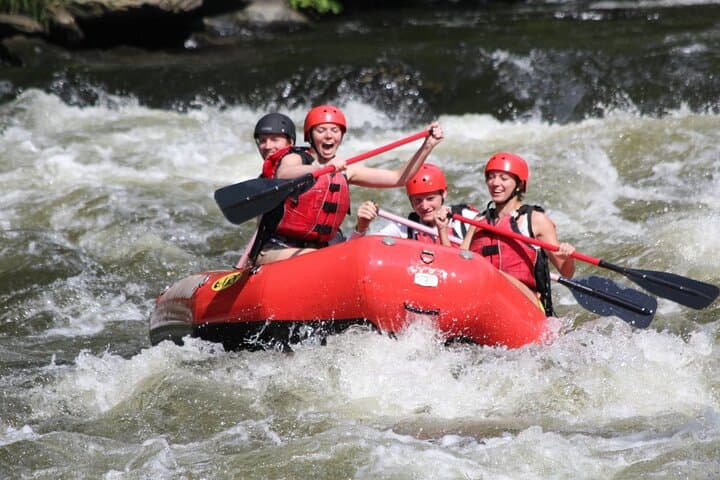 <a href="https://www.tripadvisor.com/AttractionProductReview-g60742-d23592542-French_Broad_Gorge_Whitewater_Rafting_Trip-Asheville_North_Carolina.html"><b>Ve a desafiar los rápidos en los ríos del estado</b></a>. Si la adrenalina es lo tuyo, definitivamente vas a querer disfrutar del verano a bordo de una balsa. En el 'French Broad Gorge Whitewater Rafting Trip', por ejemplo, navegarás en balsa a través de cuatro millas de rápidos de Clase II y III, te detendrás para sumergirte en el río, disfrutarás de las vistas del Bosque Nacional Pisgah que lo rodea y, finalmente, terminarás con una tradición de Asheville: una cerveza artesanal local bien fría.