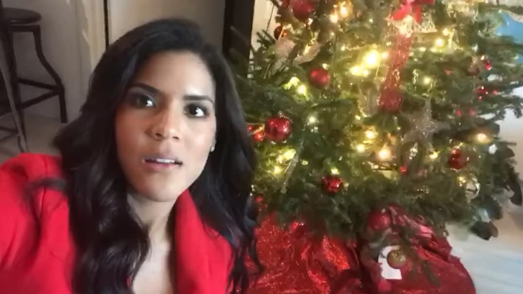 "Hace varios días que yo puse mi árbol de Navidad pero no me he atrevido a subir una foto en las redes sociales porque yo siento que el árbol se ve como vacío, como sin sustancia, sin gusto, como que no provoca nada”, se sinceró.