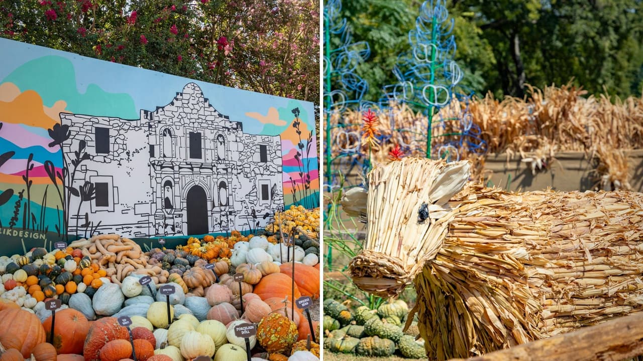 Bienvenidos al otoño en el Jardín Botánico de Dallas: Disfruta de calabazas y flores en un evento familiar