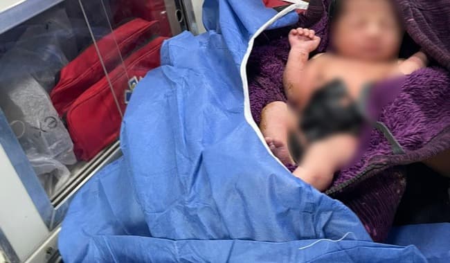 Un grupo de migrantes ayudó a una mujer a dar a luz mientras viajaban en un autobús rumbo a EEUU (y poco antes de ser detenidos)