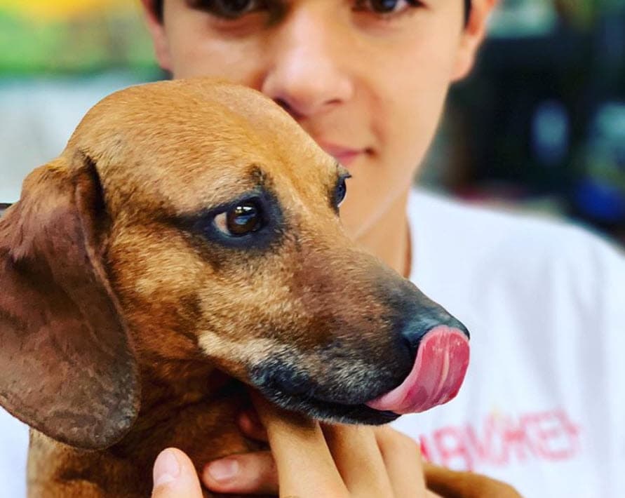 De hecho, durante el aislamiento, Itatí Cantoral no solo estuvo acompaña de sus hijos, sino también de Pluto, quien convivió con ellos para hacer más llevadero el encierro. 
<br>