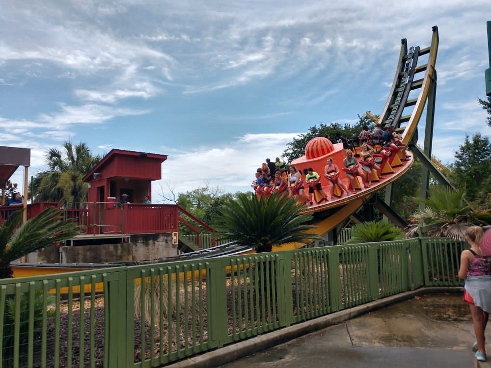 <b><a href="https://www.wildadventures.com/">Wild Adventures Theme Park</a>.</b> Parque temático, acuático y de animales, todo en un mismo lugar. Wild Adventures invita a viajar a un lugar donde los animales gobiernan, el agua fluye y los animales juegan. Ubicado en el sur de Georgia, Wild Adventures es un conveniente viaje de un día desde Alabama, Florida y Georgia o una parada de bienvenida de su viaje familiar por carretera en la I-75.
<br>
<br>
<b><a href="https://goo.gl/maps/u5Fb9Hy9ixXYw2ac7">Cómo llegar</a></b>