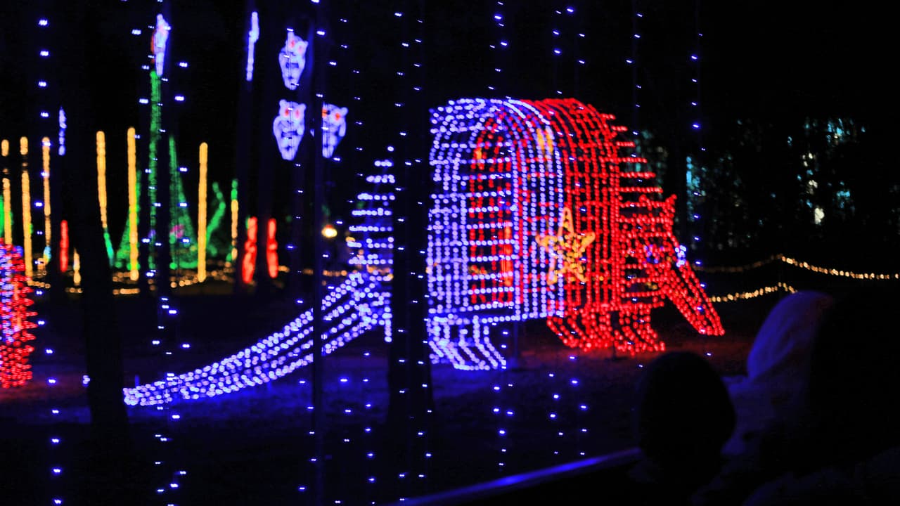 Como buenos texanos, las decoraciones navideñas no pueden omitir al tradicional armadillo.