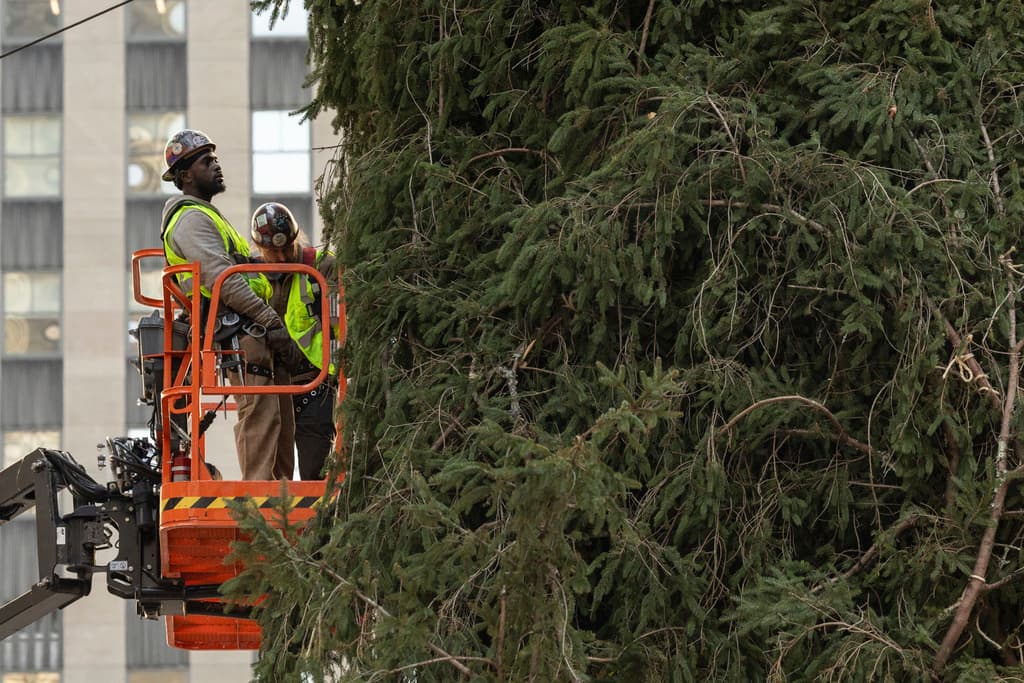 Earl Albert vio la visita y petición de Erik Pauze como "una señal" de Lesley Albert, la madre de sus hijos. Si algo amaba la mujer de 78 años era la temporada navideña, recordó, cuando les pedía decorar el enorme abeto noruego. Así toda la comunidad podría recibir la alegría y esperanza de la época.