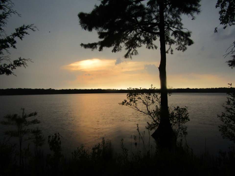 Las instalaciones son históricas, ya que abrió como el primer parque estatal que dio la bienvenida a los afroamericanos y desde entonces ha sido un destino comunitario para hacer picnic, nadar, hacer caminatas y remar.