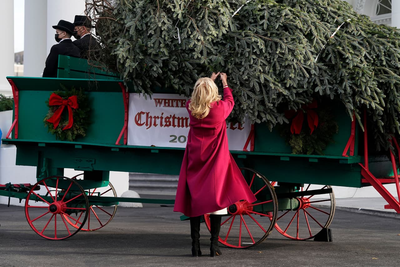 La primera dama debe inspeccionar el árbol a su llegada, como indica la tradición. Será colocado en el centro del Salón Azul y se decorará con un tema que Jill Biden dará a conocer después de las vacaciones de Acción de Gracias.