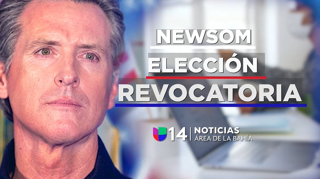 Todo lo que debes saber sobre la elección revocatoria de Gavin Newsom