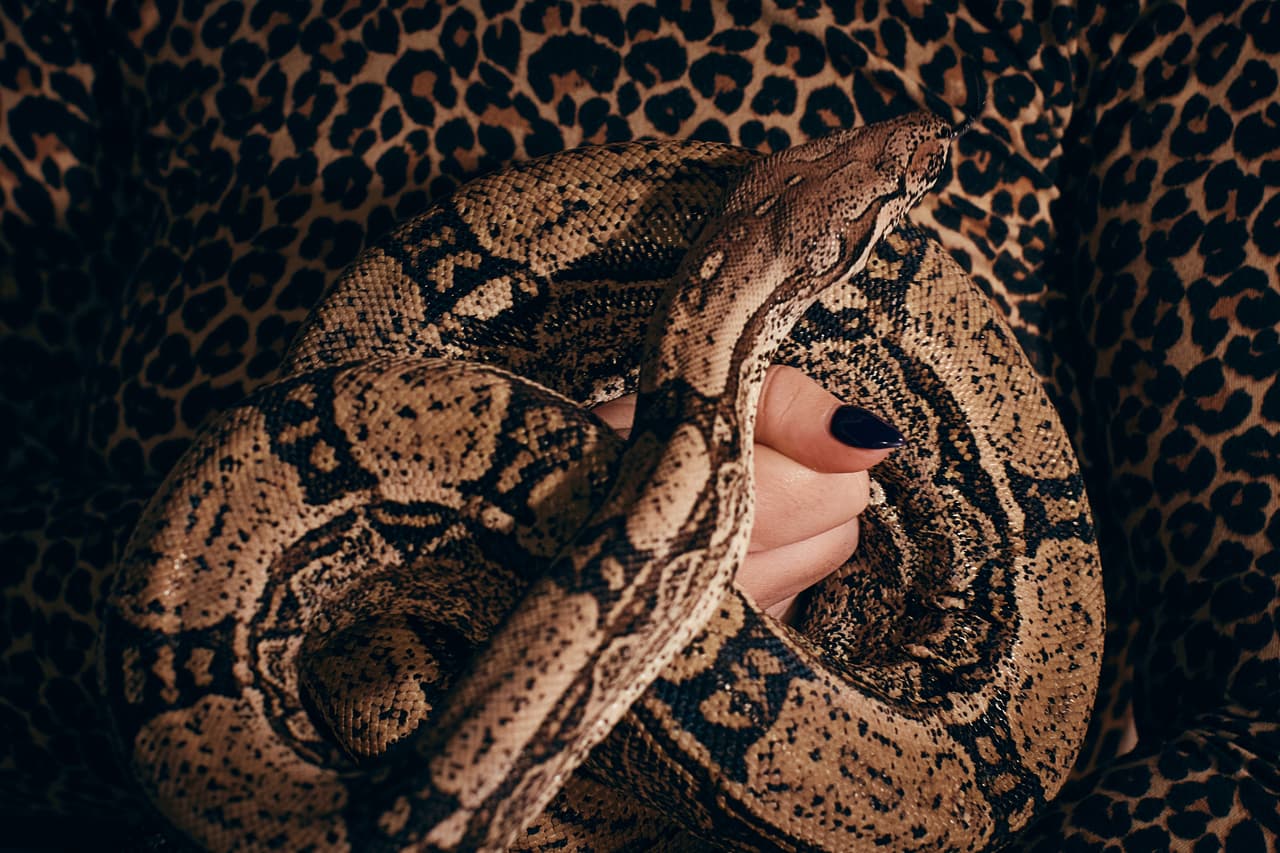 Nala, una boa constrictora café de menor tamaño, fue elegida como suplente de Princess. Ambas serpientes participaron en las pruebas realizadas para la producción.