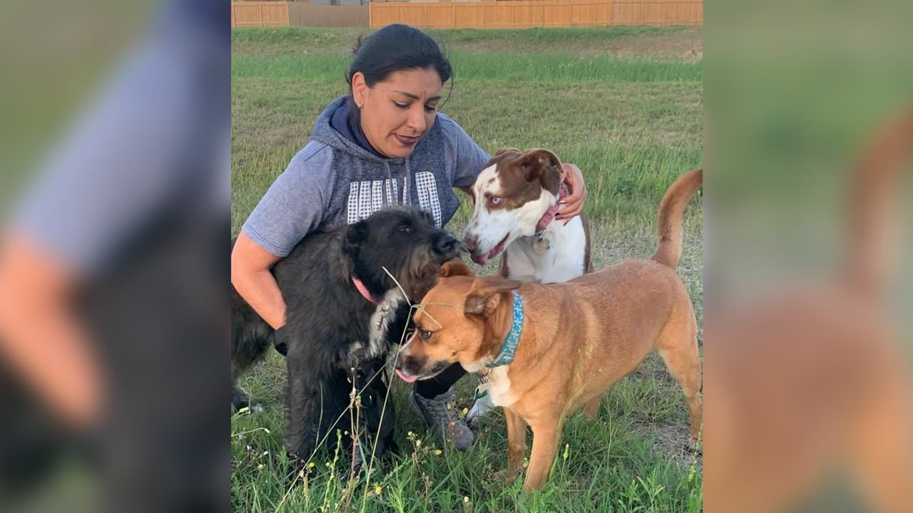 "No tuvimos hijos humanos, pero Dios me envio 3 perrijos hermosos, Marche, Canela y Peke... rescatados de la calle". Verónica Zamora