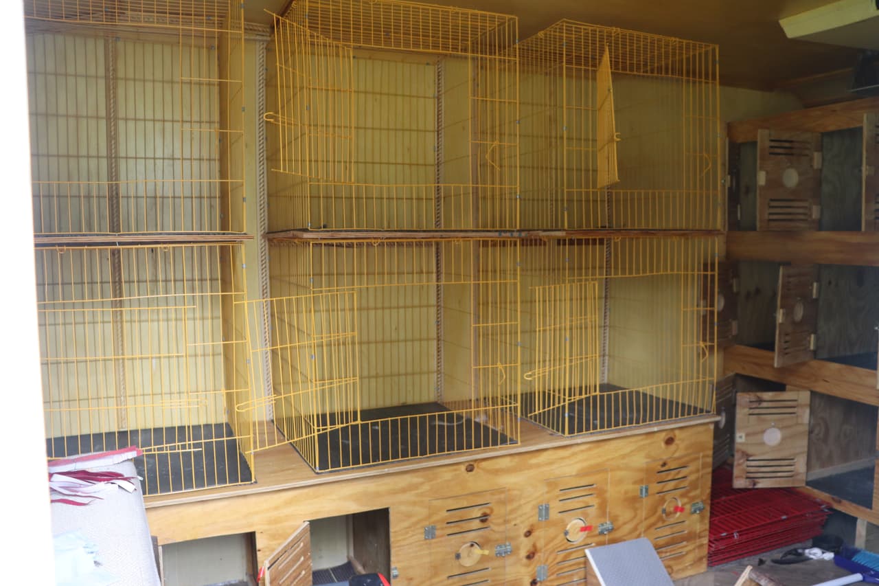 Los 174 gallos incautados están en manos de organizaciones que cuidan su bienestar, según se aseguró en el condado de Granville.