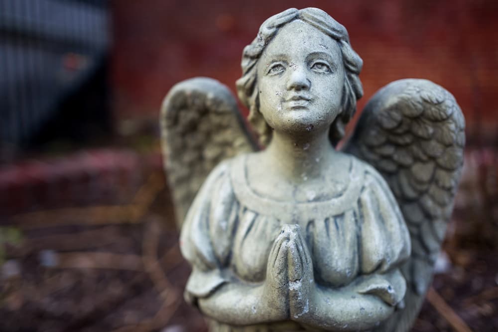 1. Tener la total disposición y deseo de sentirlos. Digo esto ya que en muchas ocasiones he escuchado a personas decir: “Quiero sentir a mis ángeles pero me da miedo”.